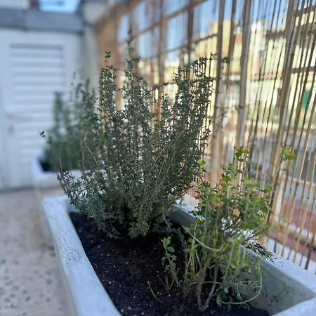 Homevision - City Chic - Cozy Balcony Bliss Thessaloniki Exterior photo